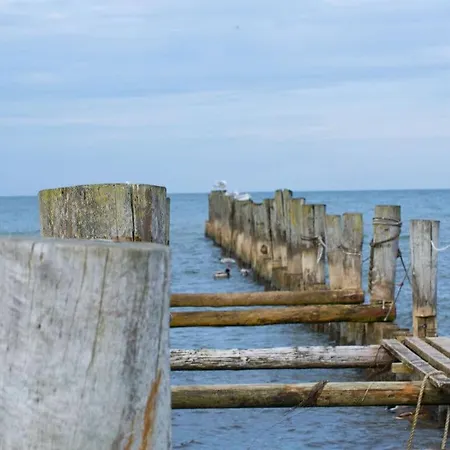 Windfluchter Zingst
